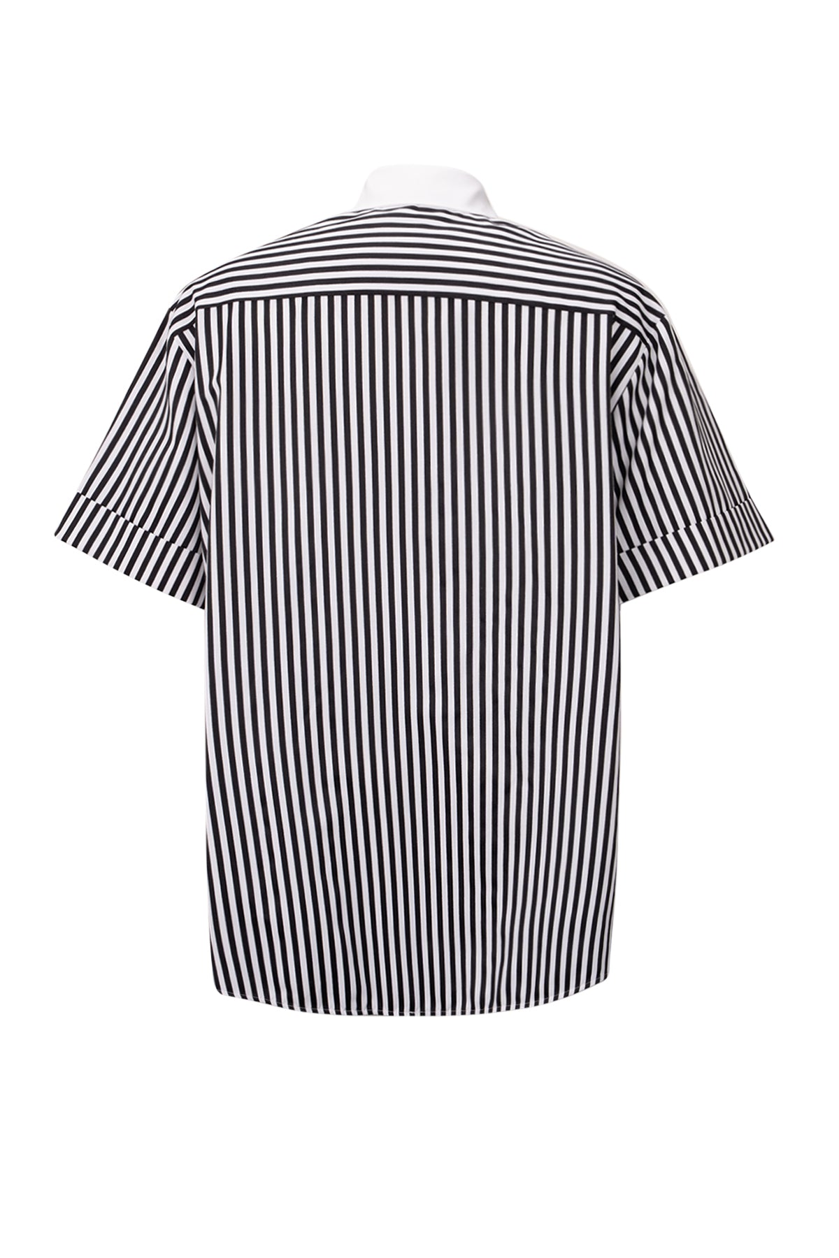 Stern Shirt